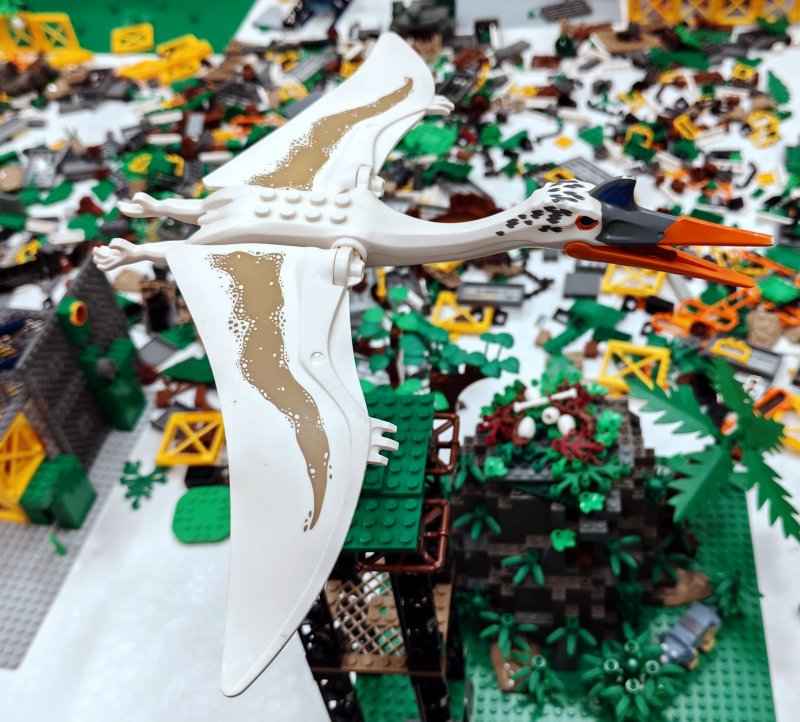 foto Jurský park 15469