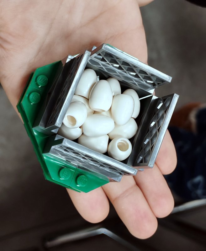 foto Jurský park 15503