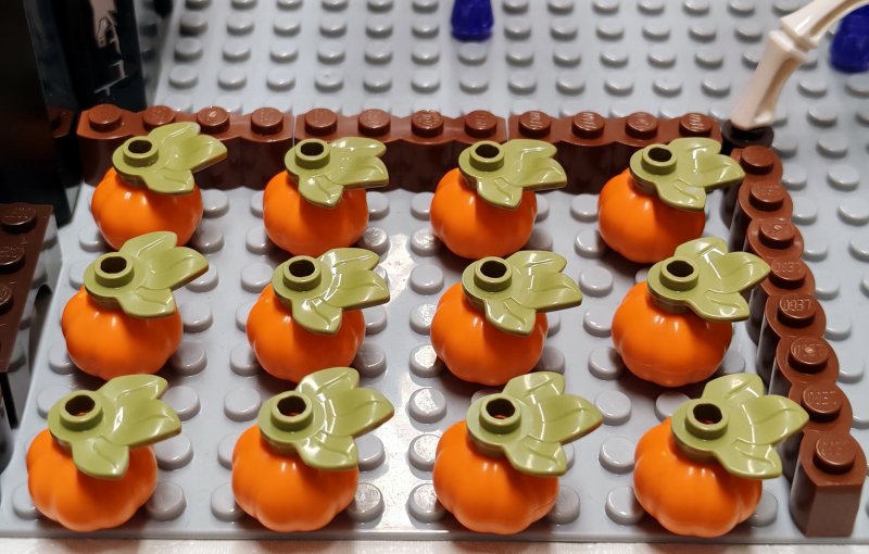 foto Strašidelné modely 15879