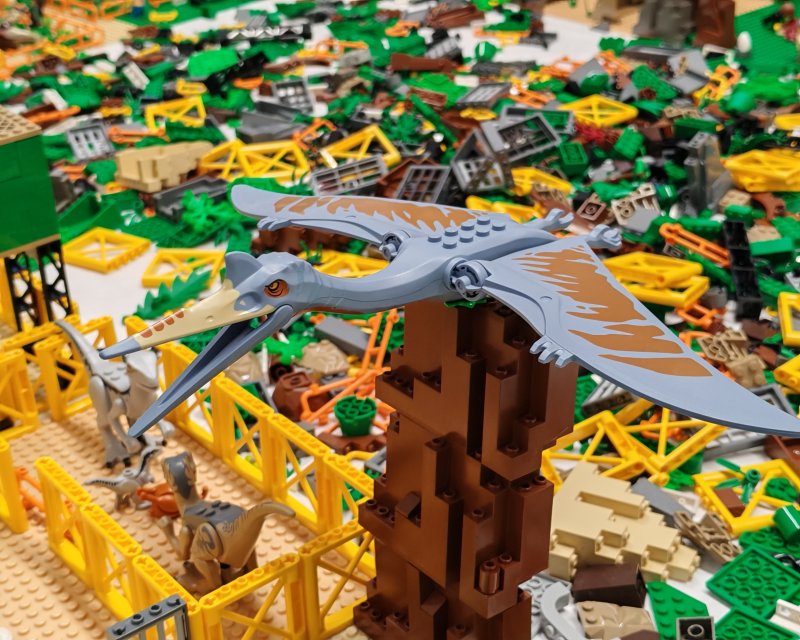 foto DINO park 16029