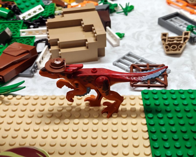 foto DINO park 16033