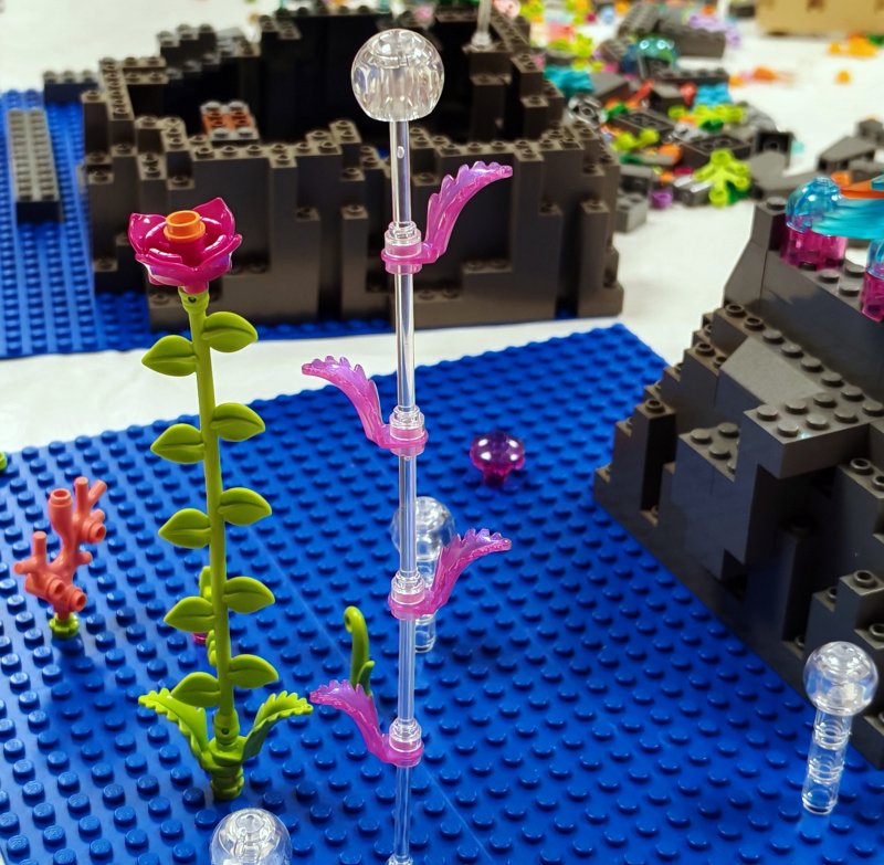 foto Pod mořskou hladinou 16221