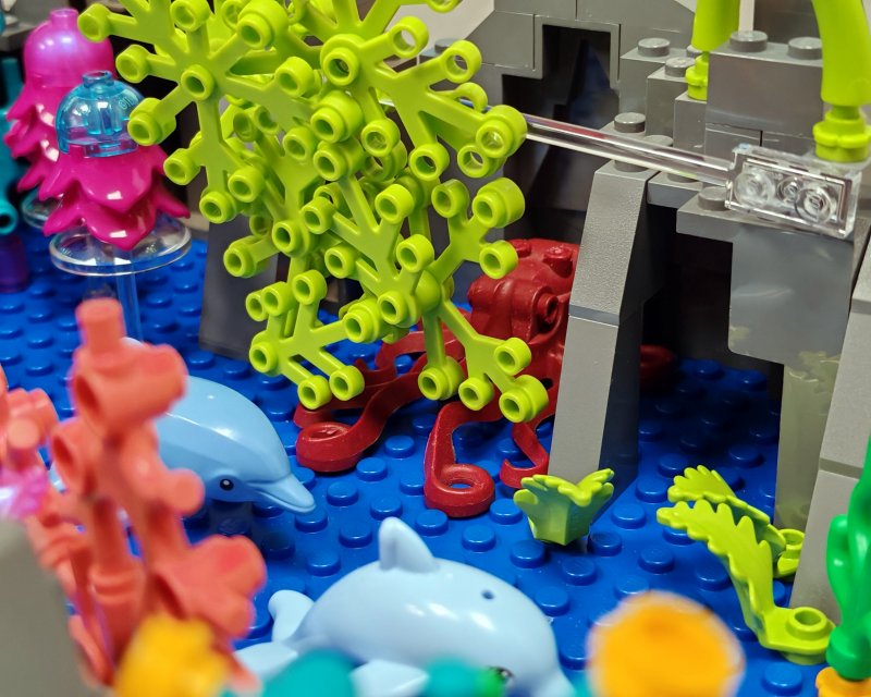 foto Pod mořskou hladinou 16223