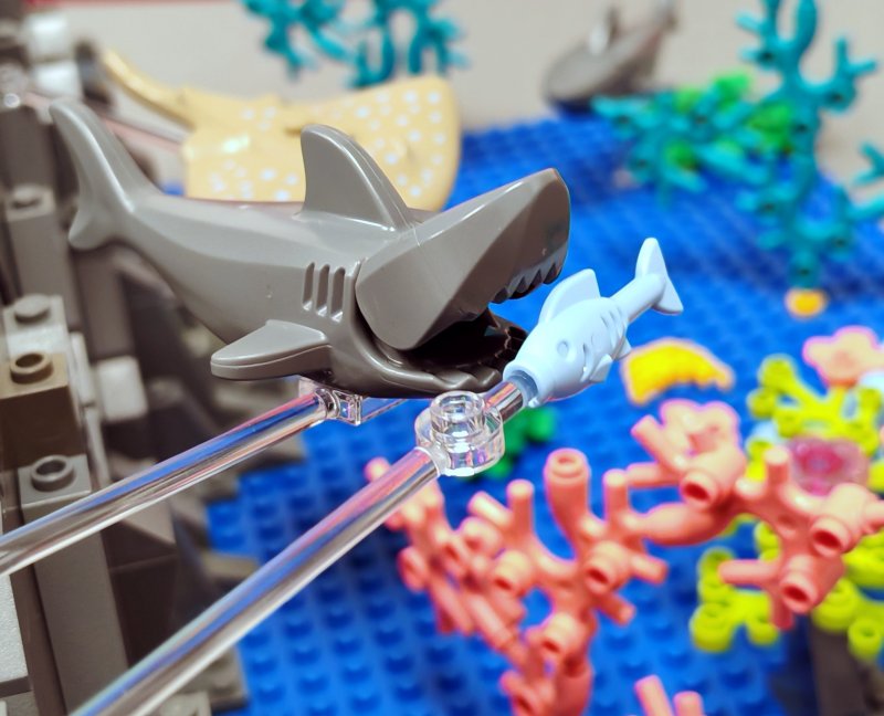 foto Pod mořskou hladinou 16225