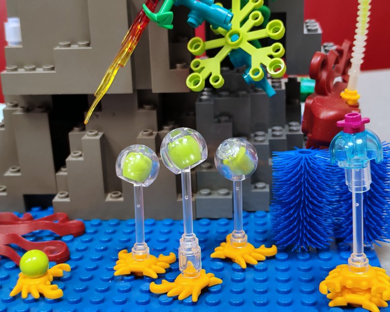 foto Pod mořskou hladinou 16226