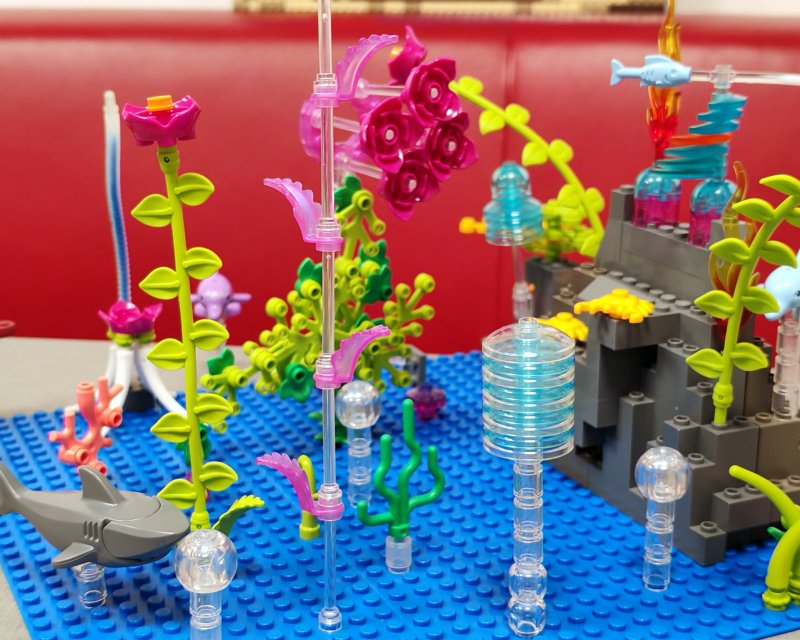 foto Pod mořskou hladinou 16227