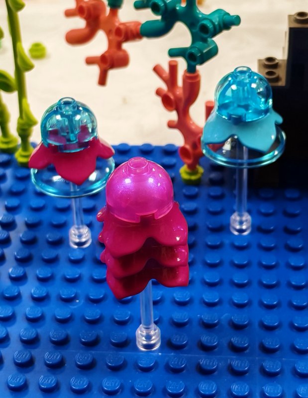 foto Pod mořskou hladinou 16230