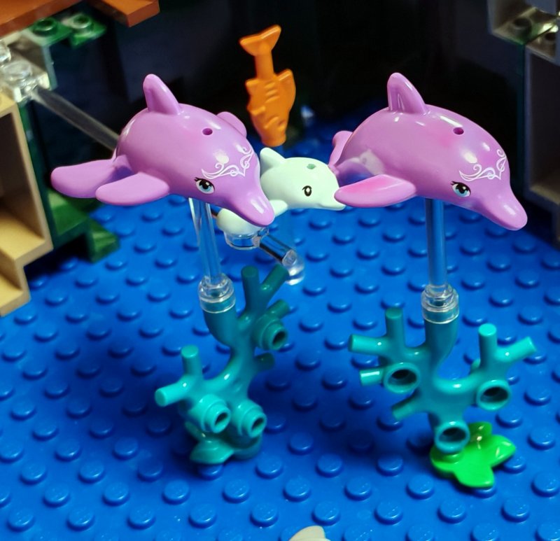 foto Pod mořskou hladinou 16231