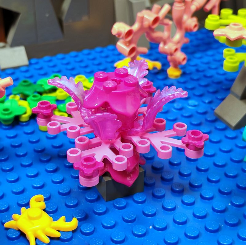 foto Pod mořskou hladinou 16233