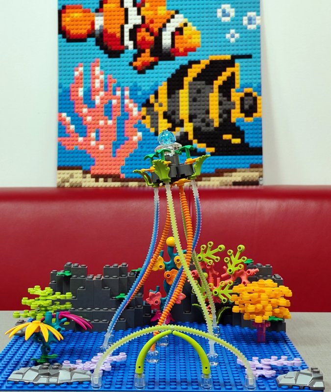 foto Pod mořskou hladinou 16234