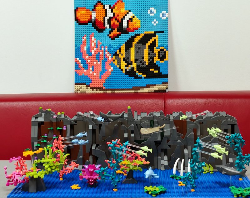 foto Pod mořskou hladinou 16239