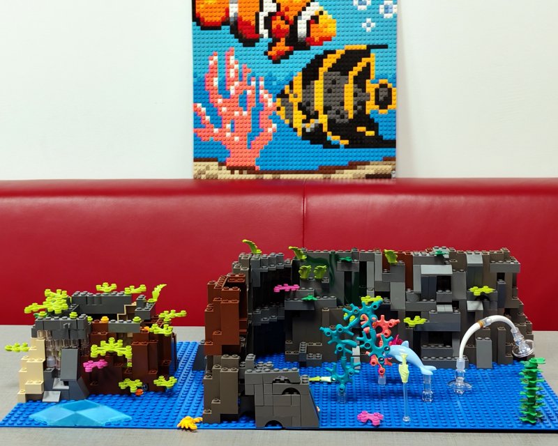 foto Pod mořskou hladinou 16241