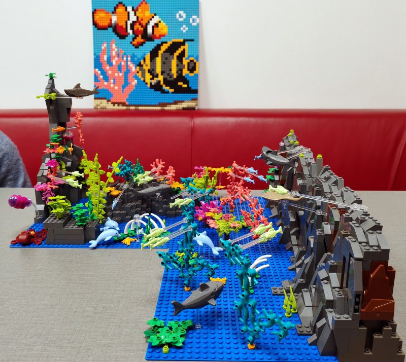 foto Pod mořskou hladinou 16243