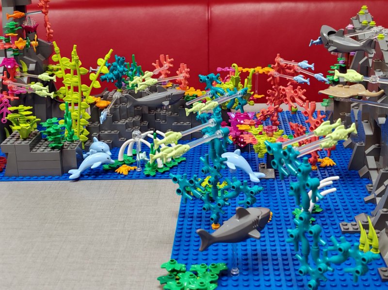 foto Pod mořskou hladinou 16244