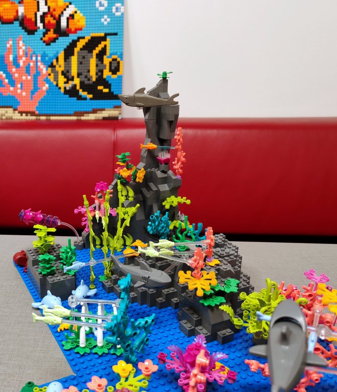 foto Pod mořskou hladinou 16245