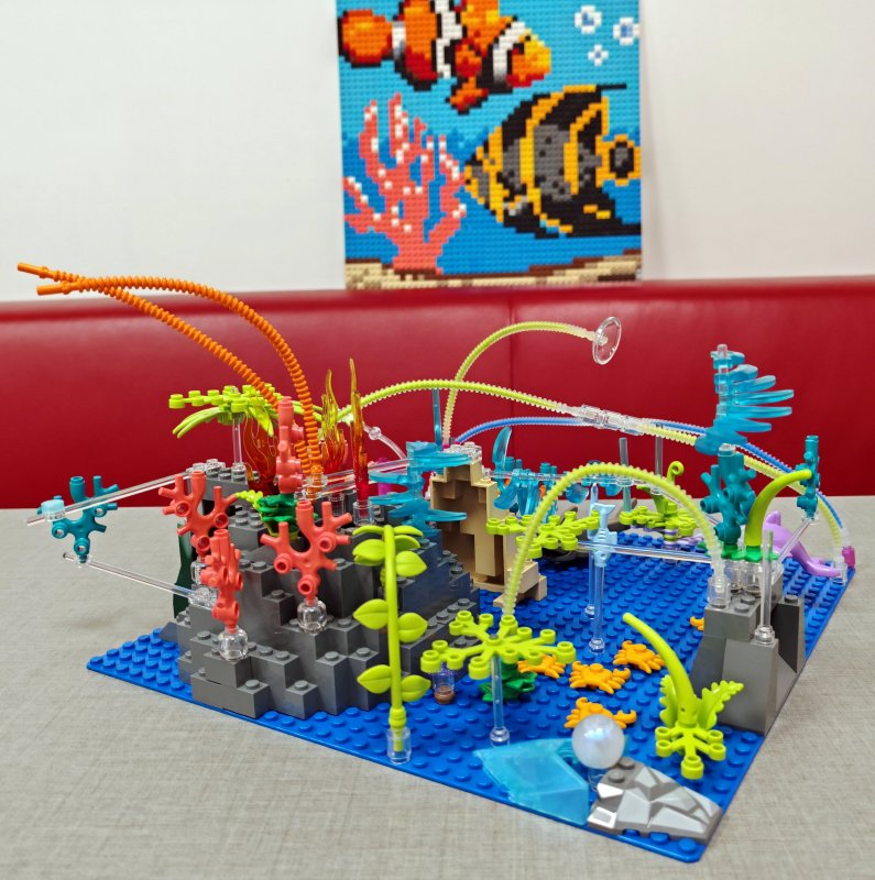 foto Pod mořskou hladinou 16252