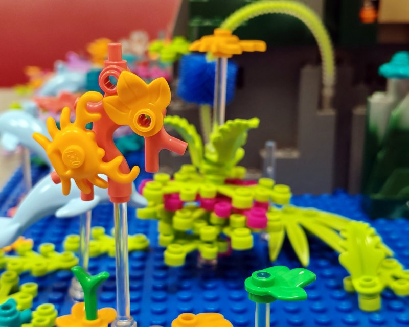 foto Pod mořskou hladinou 16256