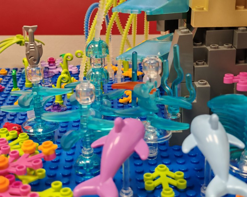 foto Pod mořskou hladinou 16257