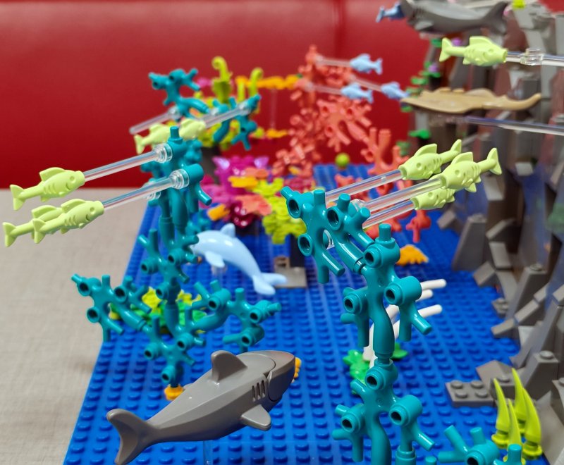 foto Pod mořskou hladinou 16259