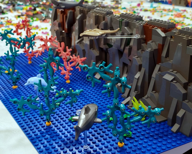 foto Pod mořskou hladinou 16265