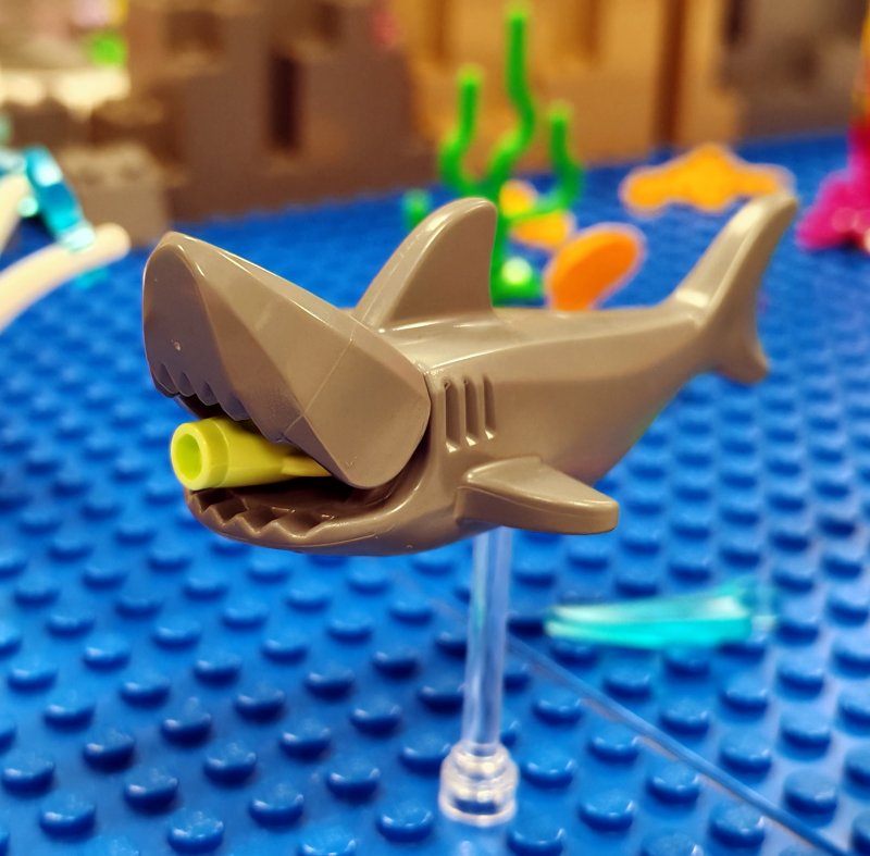 foto Pod mořskou hladinou 16267