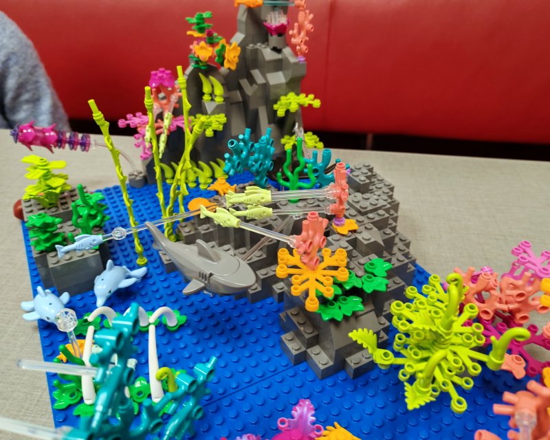 foto Pod mořskou hladinou 16268