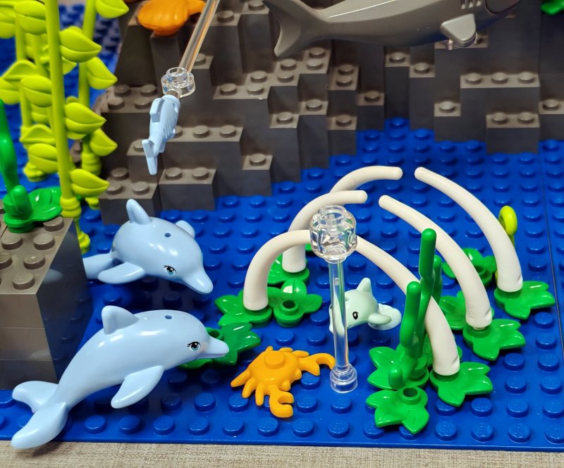 foto Pod mořskou hladinou 16269