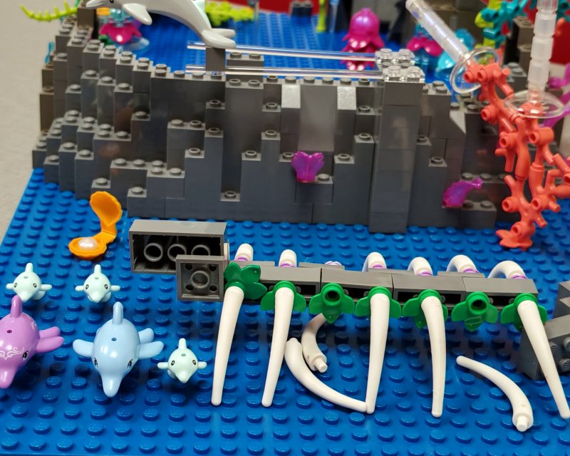 foto Pod mořskou hladinou 16273