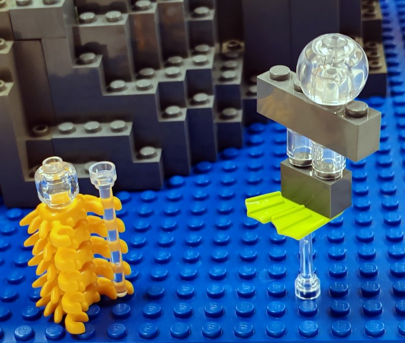 foto Pod mořskou hladinou 16275