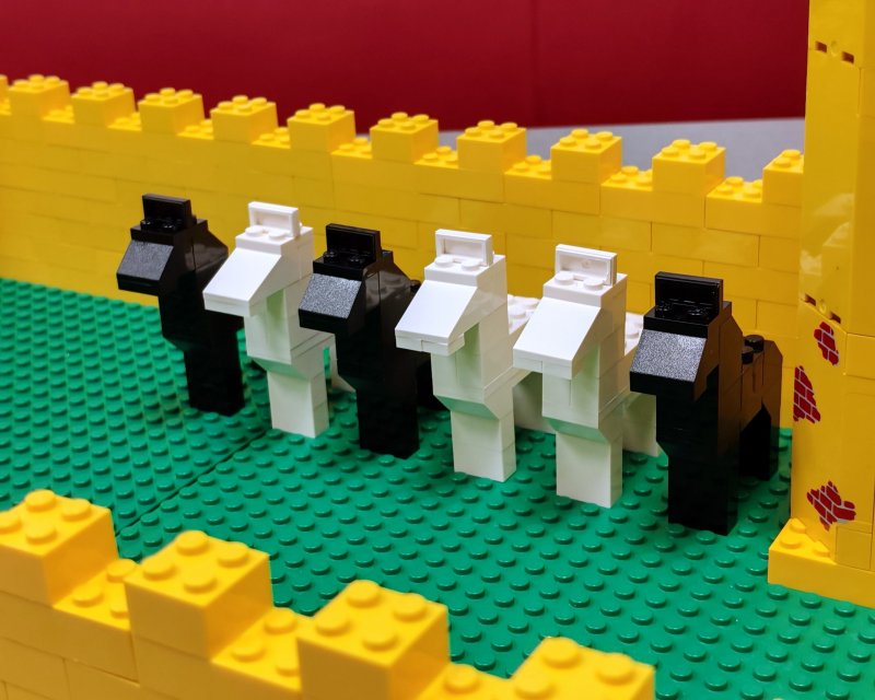 foto Žluté RETRO hrady 16360