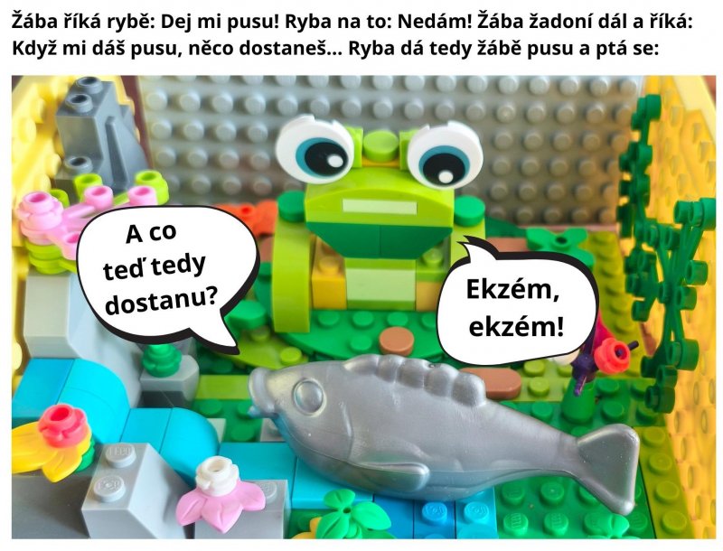 foto SOUTĚŽ Vtip V. 16413