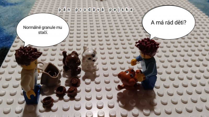 foto SOUTĚŽ Vtip V. 16439