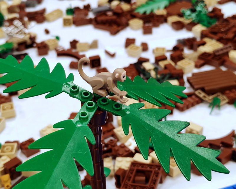 foto PIRÁTSKÝ život 16614