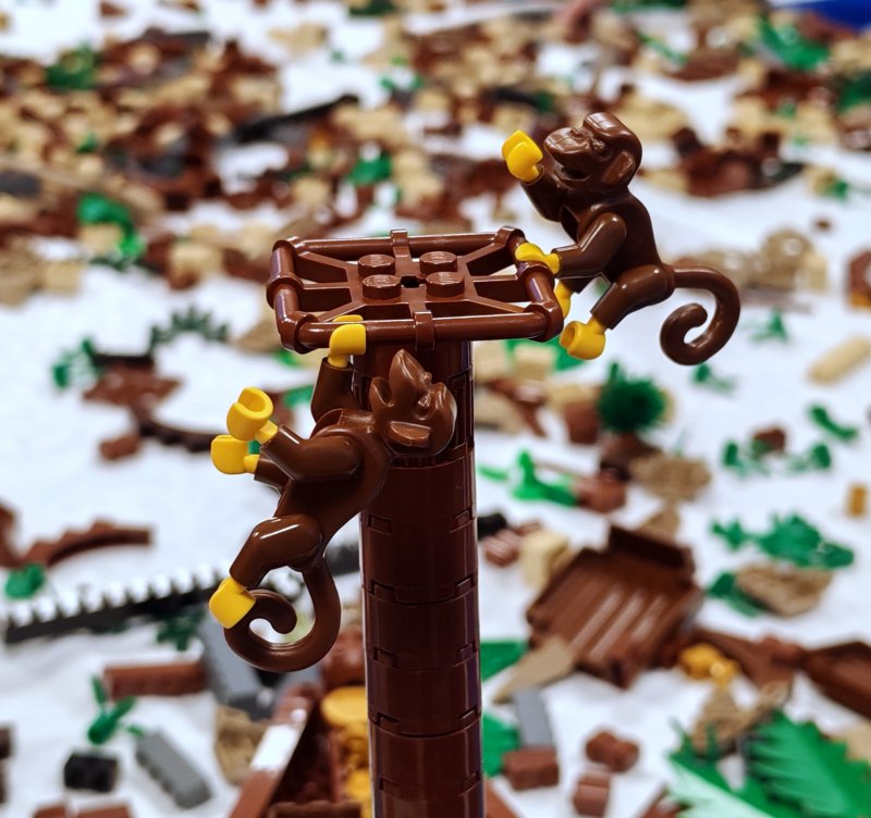 foto PIRÁTSKÝ život 16615