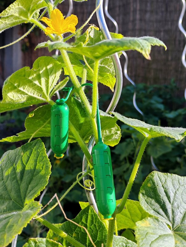 foto KOSTKOVÁNÍ NA ZAJÍMAVÝCH MÍSTECH 16811