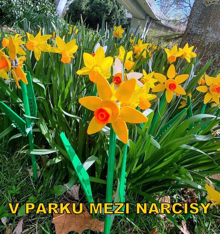 foto KOSTKOVÁNÍ NA ZAJÍMAVÝCH MÍSTECH 16820