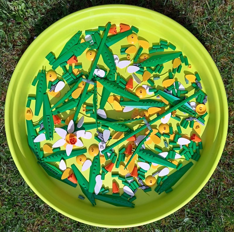 foto KOSTKOVÁNÍ NA ZAJÍMAVÝCH MÍSTECH 16821