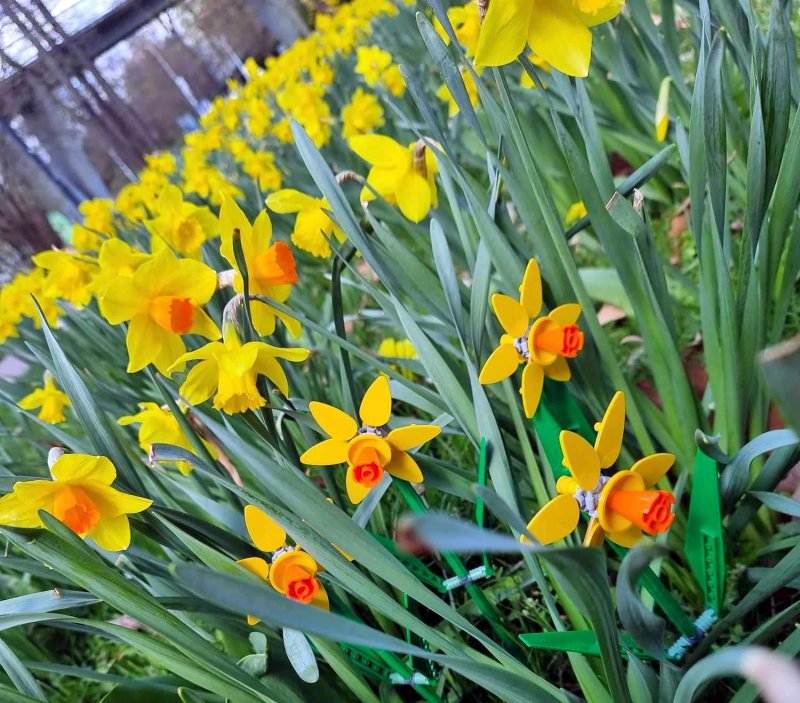 foto KOSTKOVÁNÍ NA ZAJÍMAVÝCH MÍSTECH 16823