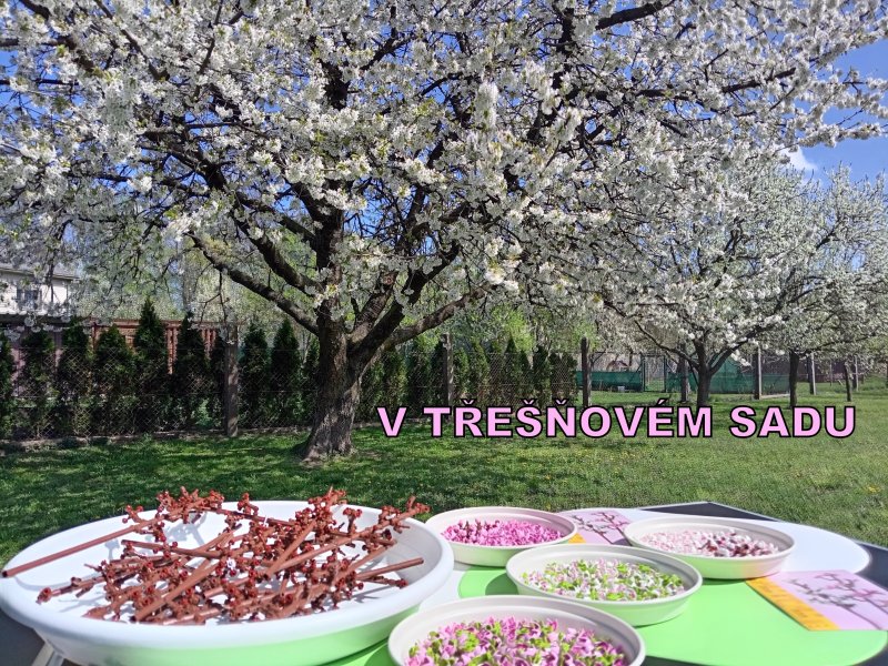 foto KOSTKOVÁNÍ NA ZAJÍMAVÝCH MÍSTECH 16828