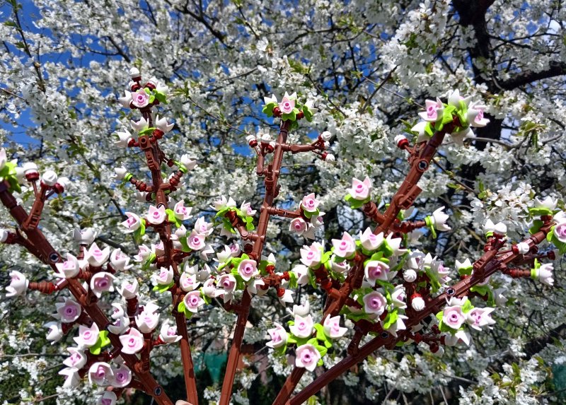 foto KOSTKOVÁNÍ NA ZAJÍMAVÝCH MÍSTECH 16831