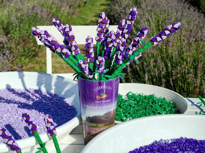 foto KOSTKOVÁNÍ NA ZAJÍMAVÝCH MÍSTECH 16837