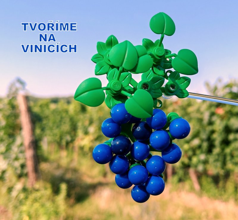 foto KOSTKOVÁNÍ NA ZAJÍMAVÝCH MÍSTECH 16840