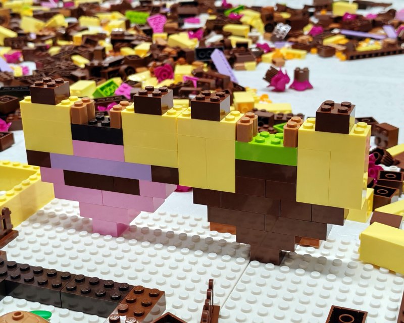 foto ČOKOLÁDOVÝ SVĚT 16855