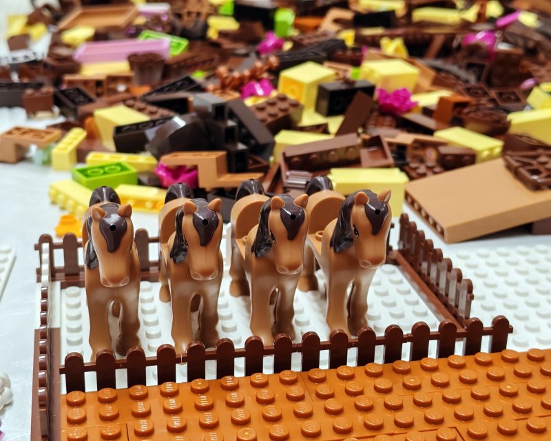 foto ČOKOLÁDOVÝ SVĚT 16857