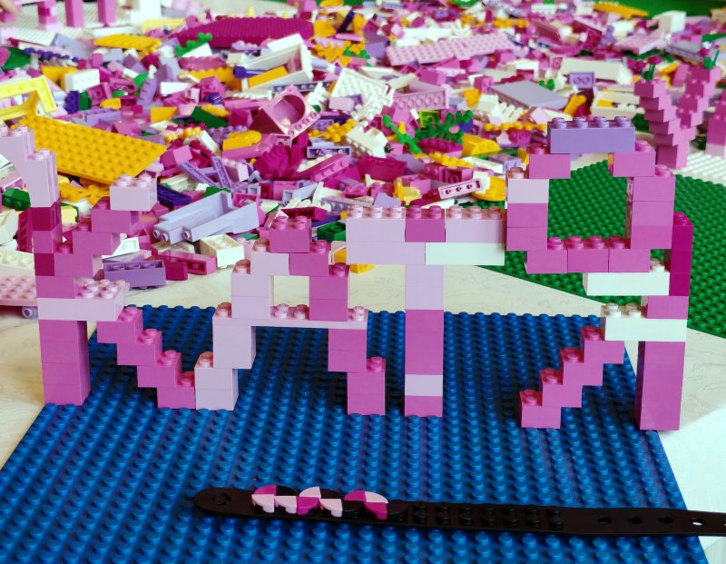 foto MEZINÁRODNÍ SETKÁNÍ 16901