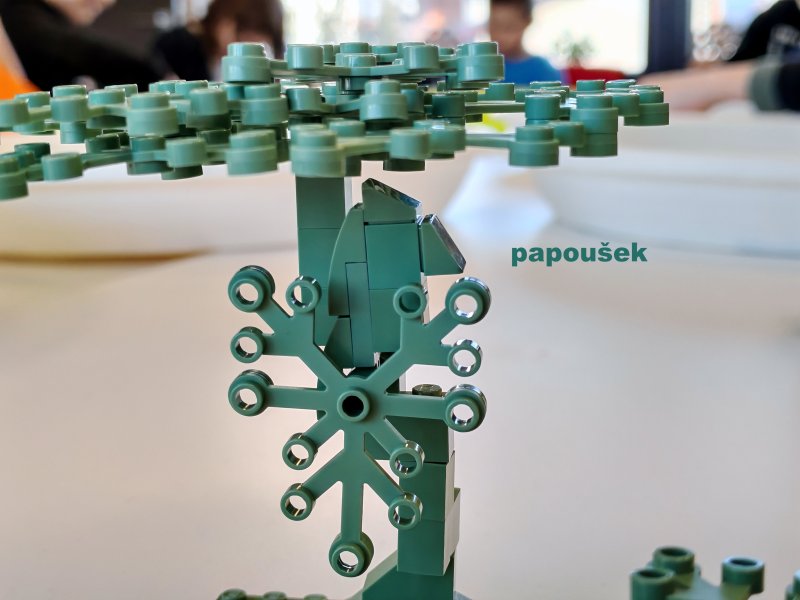 foto Modely jen z JEDNÉ BARVY 17039