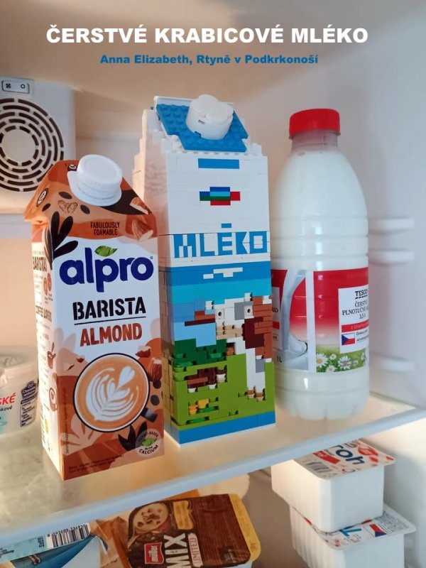 foto SOUTĚŽ Stav podle předlohy