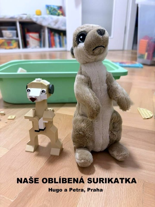 foto SOUTĚŽ Stav podle předlohy 17221