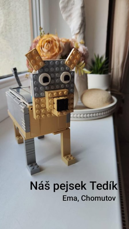 foto SOUTĚŽ Stav podle předlohy 17222