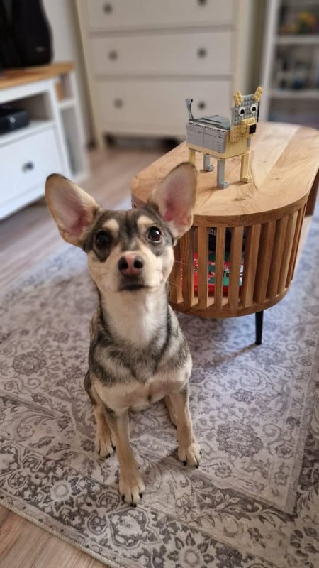 foto SOUTĚŽ Stav podle předlohy 17223